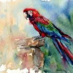 棲めない砂漠に残されたオウムの羽―パチャカマク遺跡が明かした、生きた鳥の山越え移送